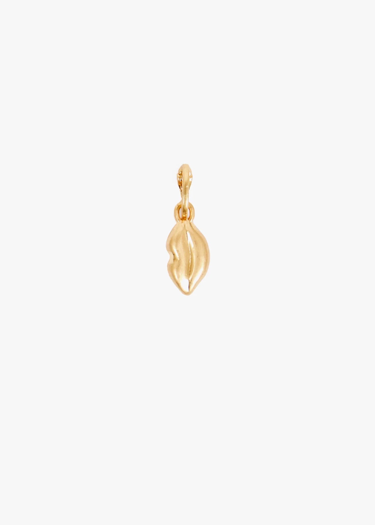 Clare-v-lips-charm