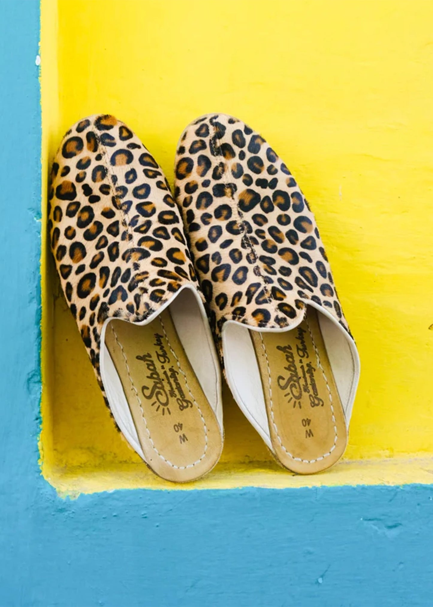 Sabah-Leopard-Baba
