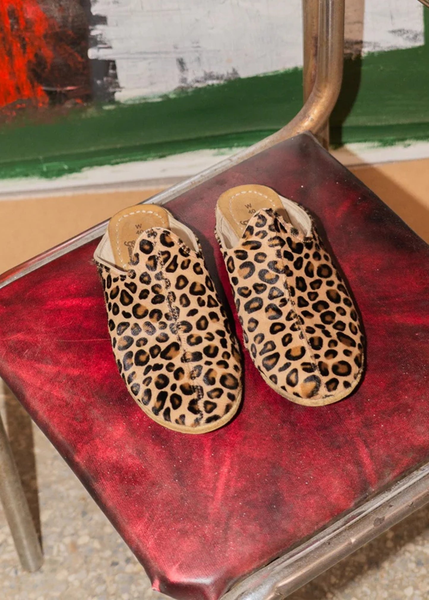 Sabah-Leopard-Baba
