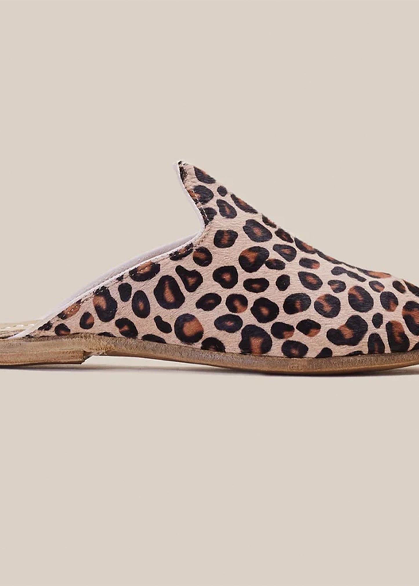 Sabah-Leopard-Baba