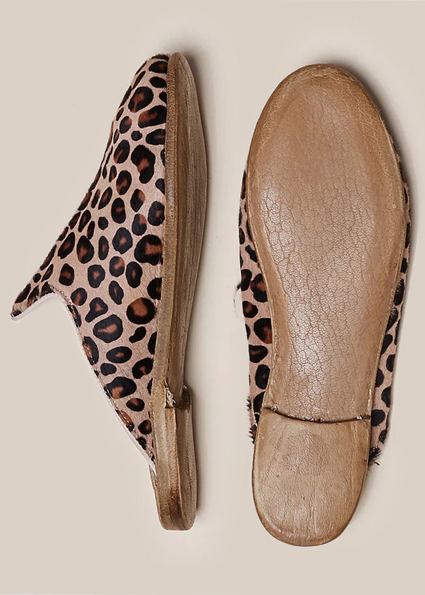 Sabah-Leopard-Baba