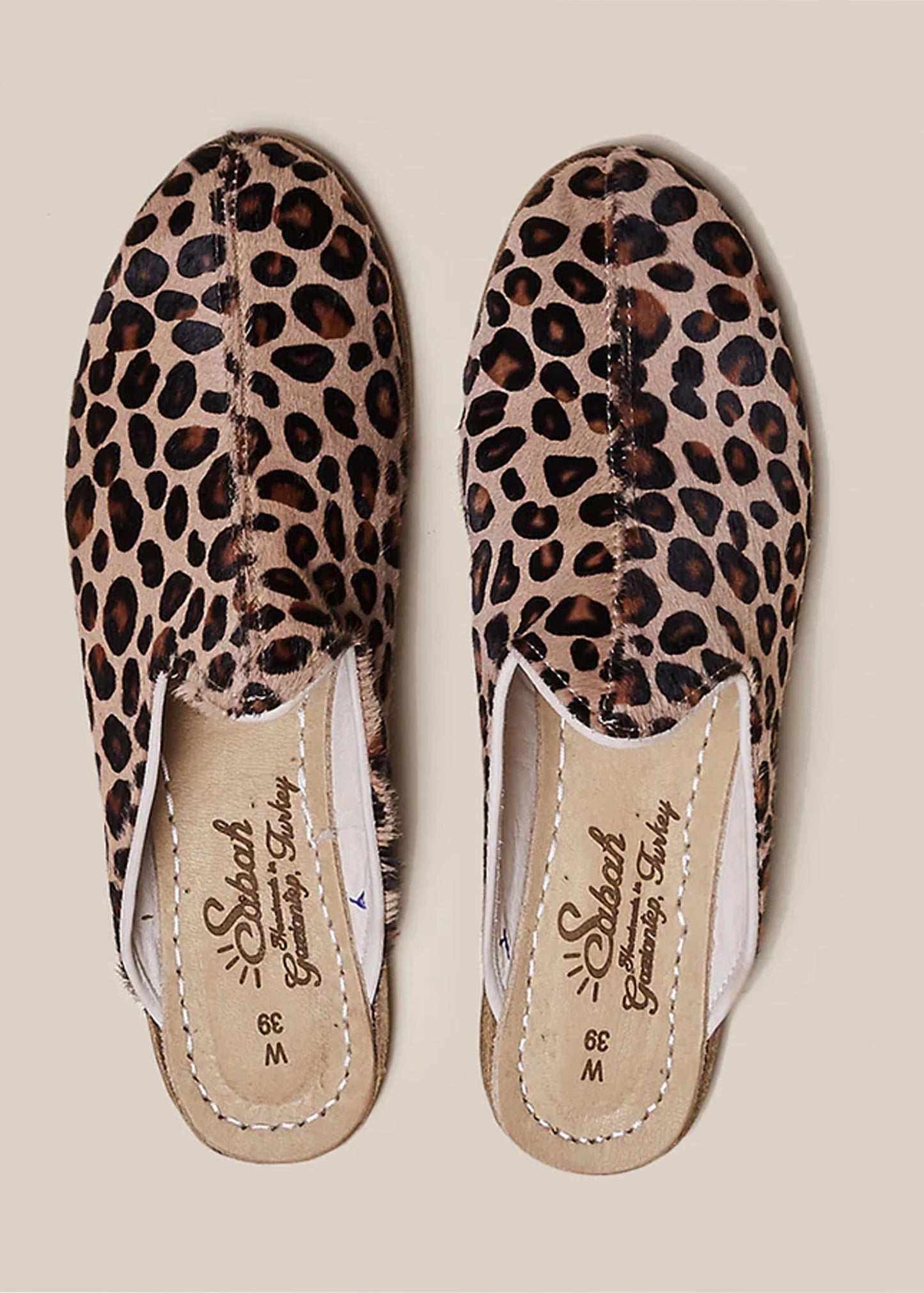 Sabah-Leopard-Baba