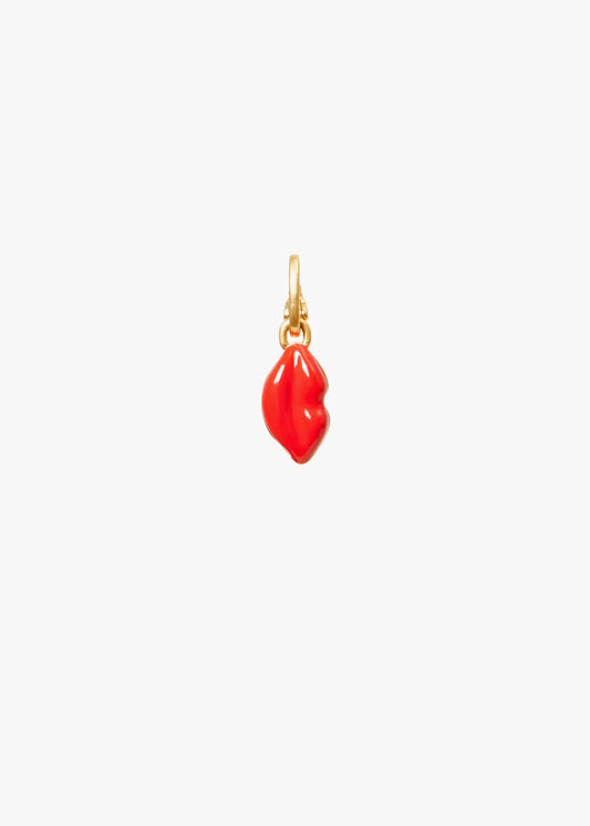 Clare-v-lips-charm