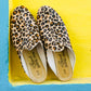 Sabah-Leopard-Baba