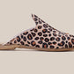 Sabah-Leopard-Baba