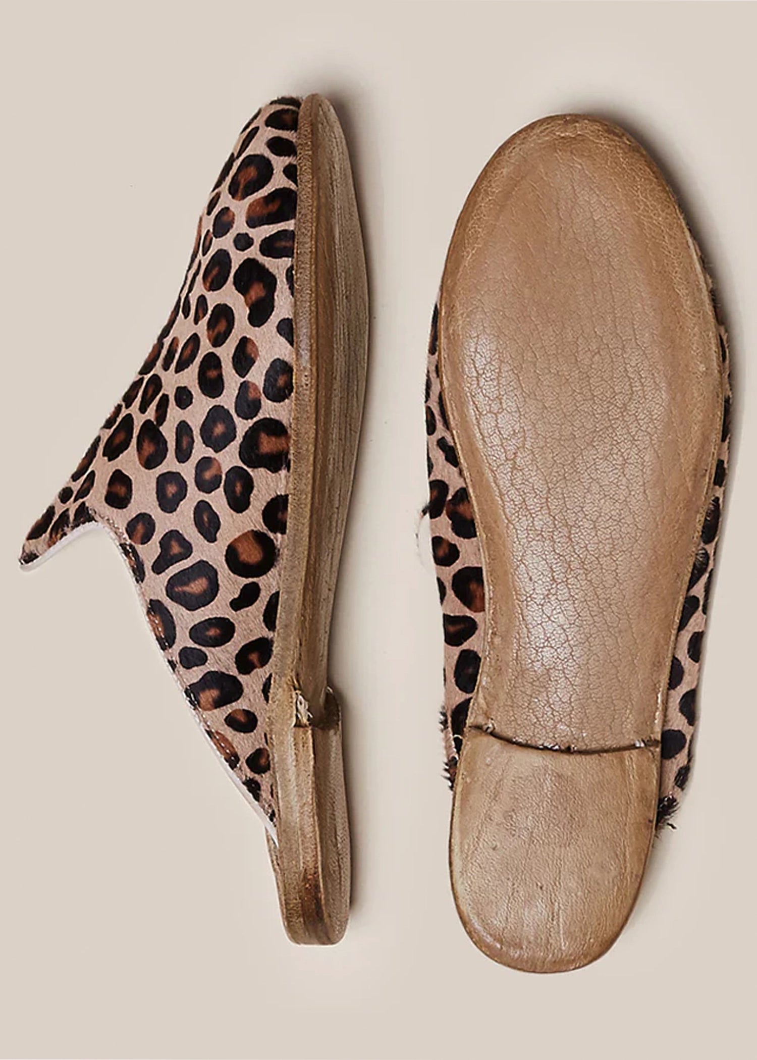 Sabah-Leopard-Baba