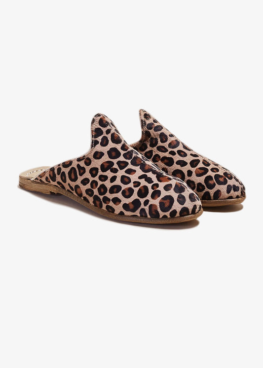 Sabah-Leopard-Baba