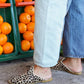 Sabah-Leopard-Baba