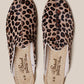 Sabah-Leopard-Baba