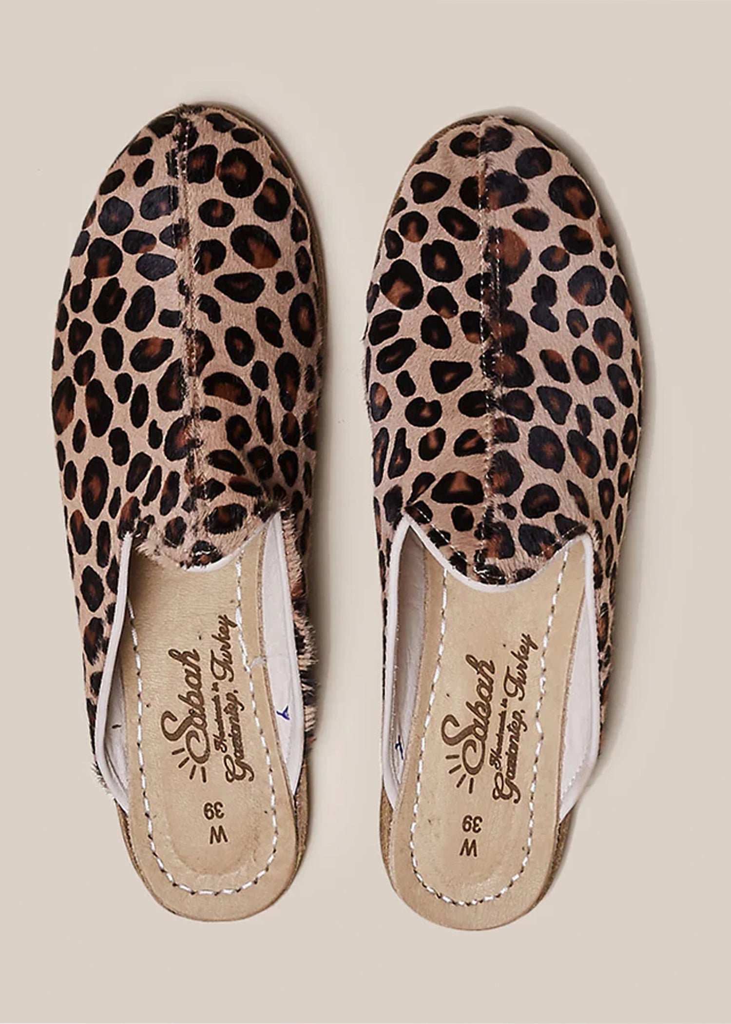 Sabah-Leopard-Baba