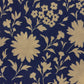 Trovata-Devon-Dress-Shadowfield